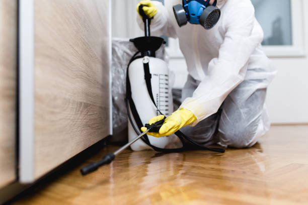 Best Bed Bug Extermination  in Victory Gardens, NJ