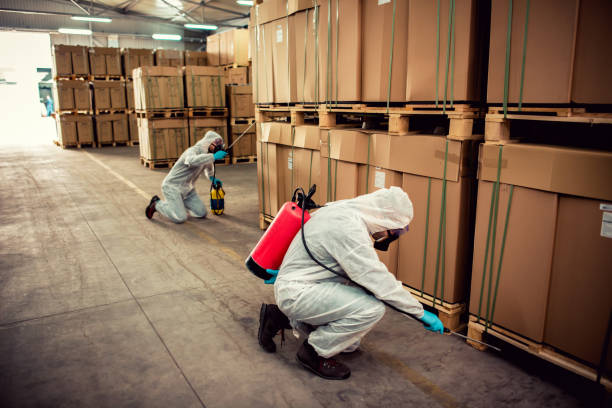 Best Affordable Pest Control Services  in Victory Gardens, NJ