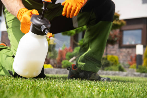 Best Pest Inspection Near Me  in Victory Gardens, NJ
