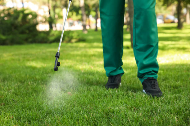 Best Cockroach Control Services  in Victory Gardens, NJ