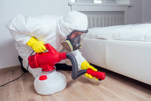 Best Termite Control Services  in Victory Gardens, NJ