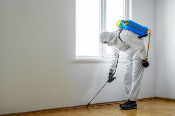Best Best Pest Control Companies  in Victory Gardens, NJ