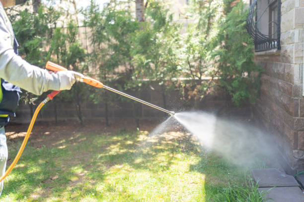 Professional Pest Control in Victory Gardens, NJ